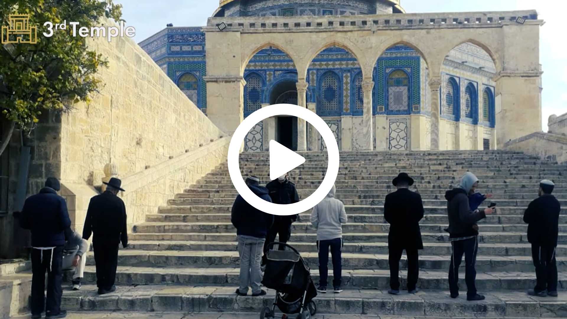 Vidéo Shevat - Prayer on Temple Mount