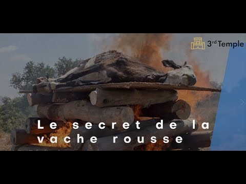 Le secret de la Vache Rousse