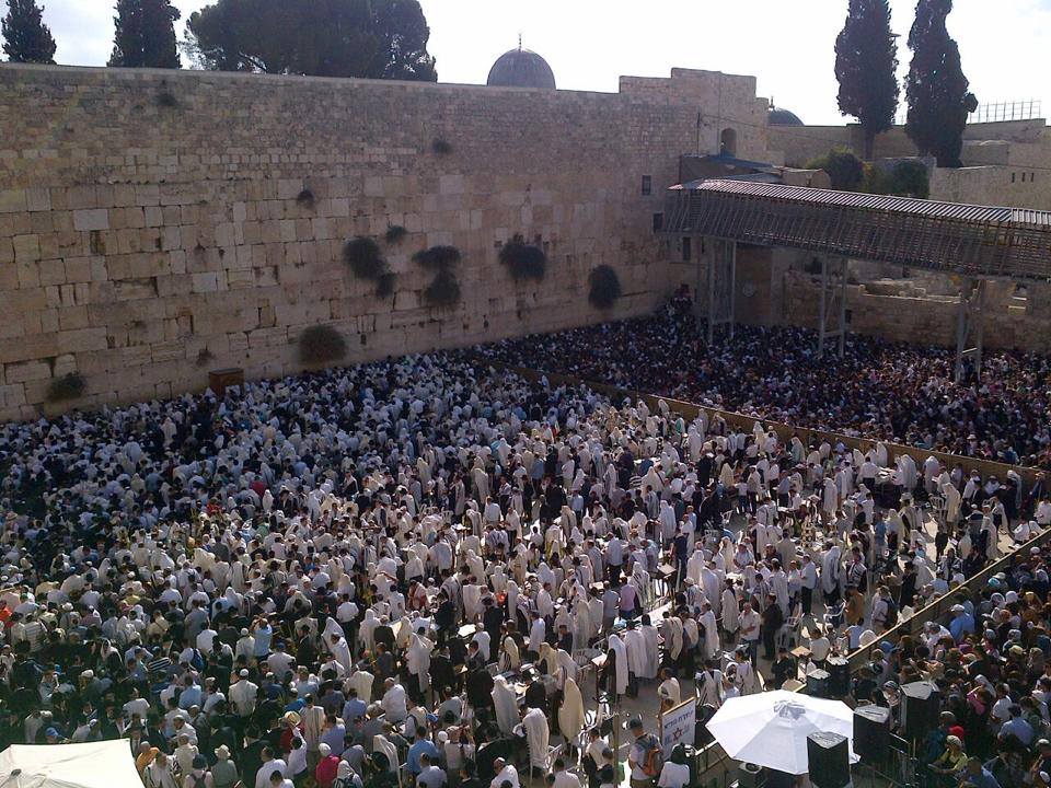 Kotel2014sukkot