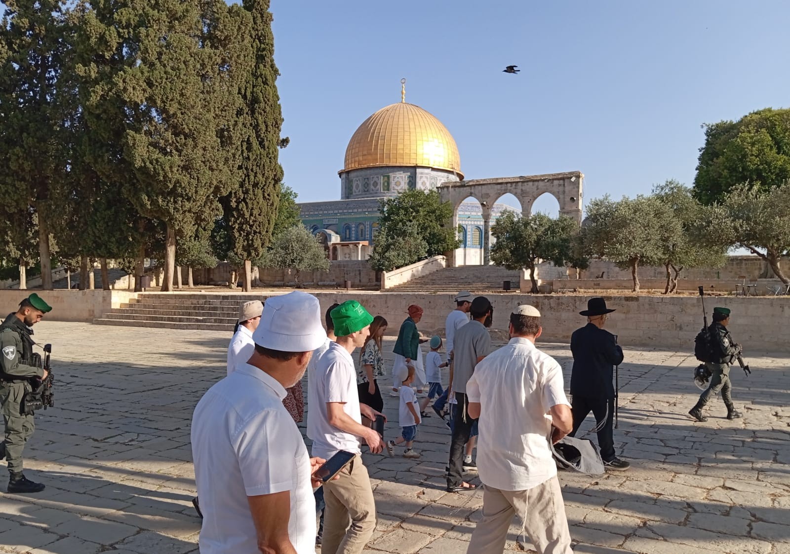 עליות להר הבית